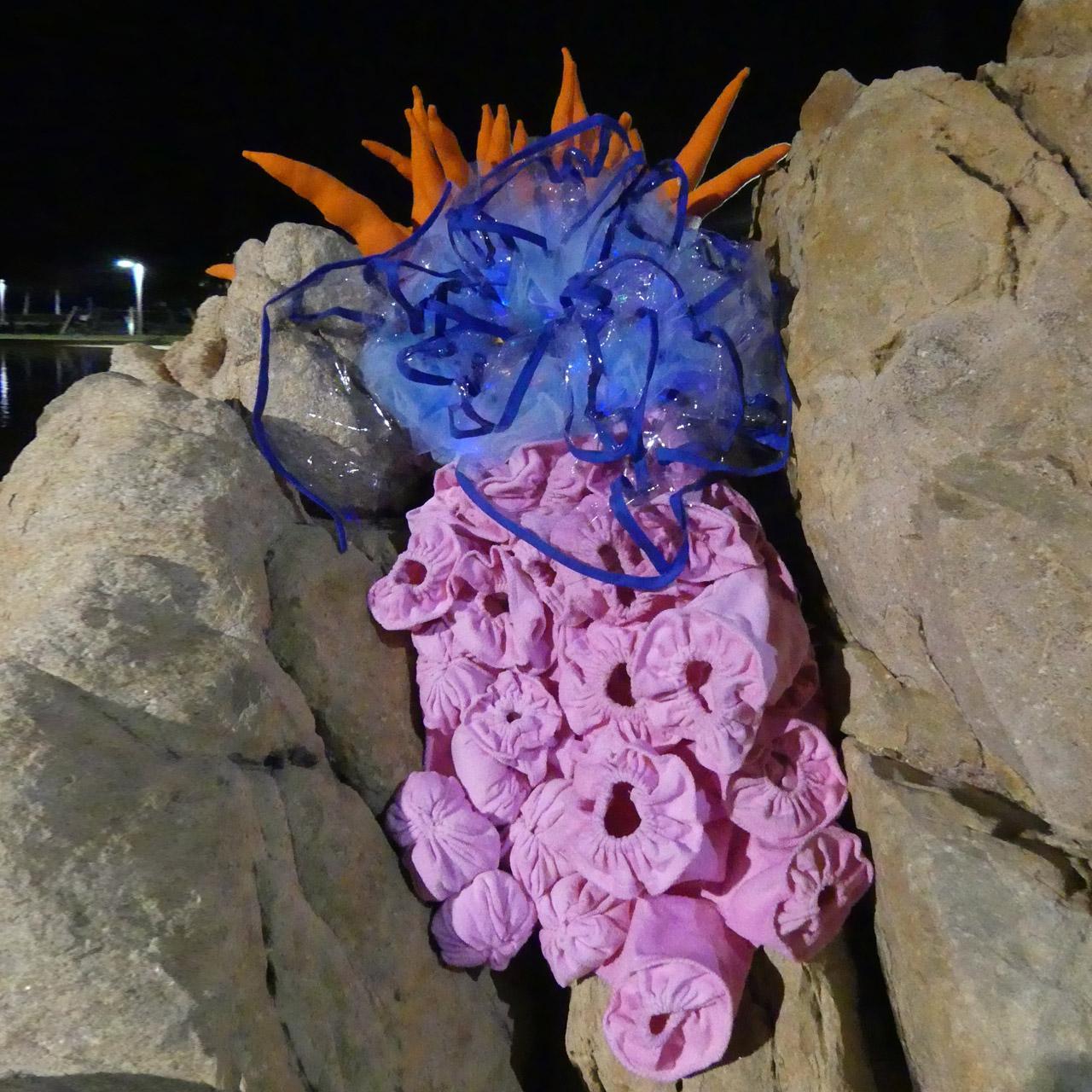 #ericagrayartist #2017strandephemera #strandephemera #strandephemeratownsville #sculptureartist #sculpture #3dartist #sculpturedart #sculptural #contemporary #sculpturedesign #contemporaryartist #coralart #sealife #seacreatures